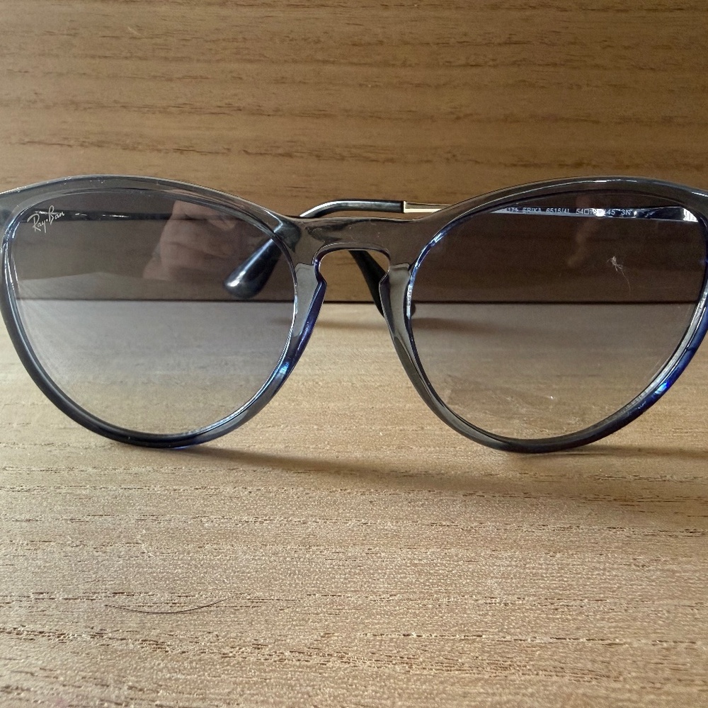 Ray-Ban Erika Sunglasses